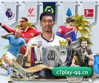 C7娱乐 APP